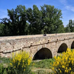 Roman Bridge (Puente Romano) - Salamanca