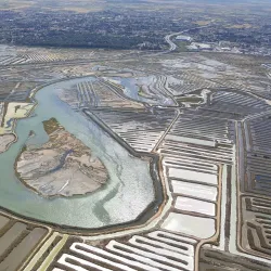 Parque Natural Bahía de Cádiz - San Fernando