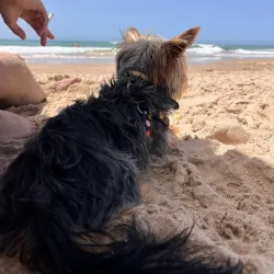 Playa de Camposoto - San Fernando
