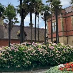 Miramar Palace - San Sebastian