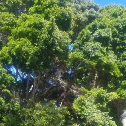 Plaza de la Constitución - San Sebastian