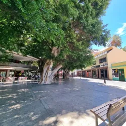 Plaza de la Constitución - San Sebastian