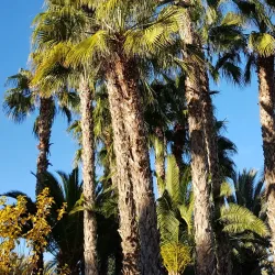 Parque de la Huerta - San Vicente del Raspeig