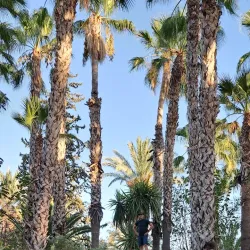 Parque de la Huerta - San Vicente del Raspeig