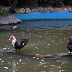 Parque de la Huerta - San Vicente del Raspeig
