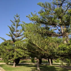 Parque Lo Morant - San Vicente del Raspeig