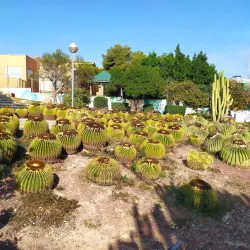 Parque Lo Morant - San Vicente del Raspeig