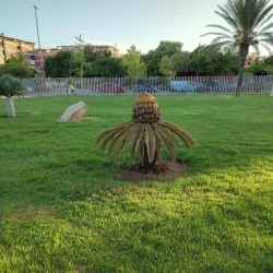 Parque Lo Torrent - San Vicente del Raspeig