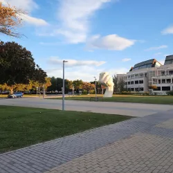 University of Alicante - San Vicente del Raspeig