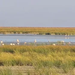 Doñana National Park - Sanlúcar de Barrameda