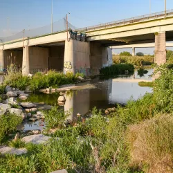 Llobregat River Park - Sant Boi de Llobregat