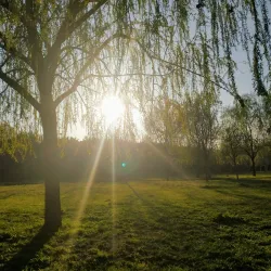 Llobregat River Park - Sant Boi de Llobregat