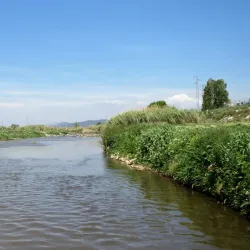 Llobregat River Park - Sant Boi de Llobregat