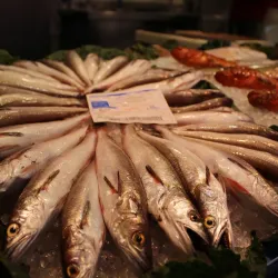 Mercat Municipal de Sant Boi - Sant Boi de Llobregat