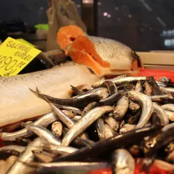 Mercat Municipal de Sant Boi - Sant Boi de Llobregat