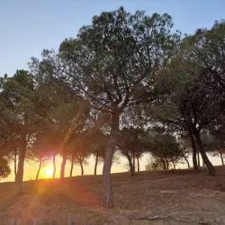 Parc de la Muntanyeta - Sant Boi de Llobregat