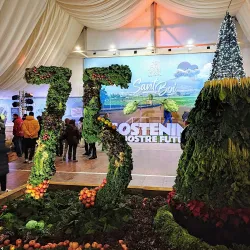 Parc de la Muntanyeta - Sant Boi de Llobregat