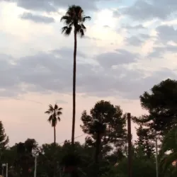 Parc de Marianao - Sant Boi de Llobregat