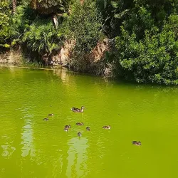 Parc de Marianao - Sant Boi de Llobregat