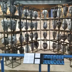 Roman Baths of Sant Boi - Sant Boi de Llobregat