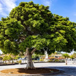 Castillo de San Juan Bautista (Castillo Negro) - Santa Cruz de Tenerife