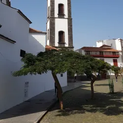 Iglesia de la Concepción - Santa Cruz de Tenerife