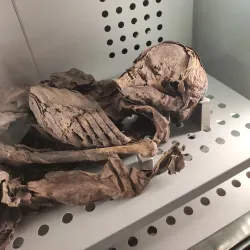 Museo de la Naturaleza y el Hombre - Santa Cruz de Tenerife