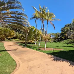 Palmetum de Santa Cruz de Tenerife - Santa Cruz de Tenerife