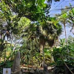 Palmetum de Santa Cruz de Tenerife - Santa Cruz de Tenerife
