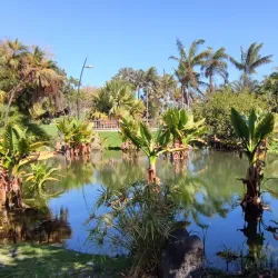 Palmetum de Santa Cruz de Tenerife - Santa Cruz de Tenerife