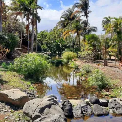 Palmetum de Santa Cruz de Tenerife - Santa Cruz de Tenerife