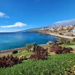 Palmetum de Santa Cruz de Tenerife - Santa Cruz de Tenerife