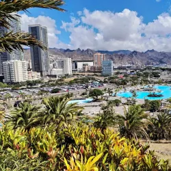 Palmetum de Santa Cruz de Tenerife - Santa Cruz de Tenerife