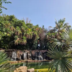 Palmetum de Santa Cruz de Tenerife - Santa Cruz de Tenerife
