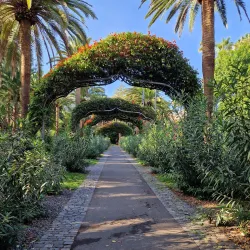 Parque García Sanabria - Santa Cruz de Tenerife