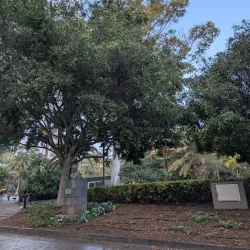 Parque García Sanabria - Santa Cruz de Tenerife
