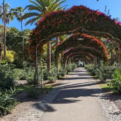 Parque García Sanabria - Santa Cruz de Tenerife