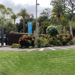 Parque García Sanabria - Santa Cruz de Tenerife
