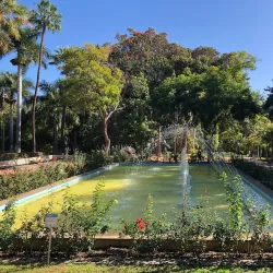 Parque García Sanabria - Santa Cruz de Tenerife