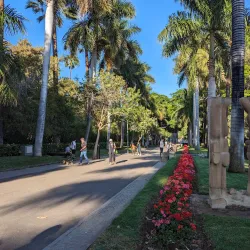 Parque García Sanabria - Santa Cruz de Tenerife