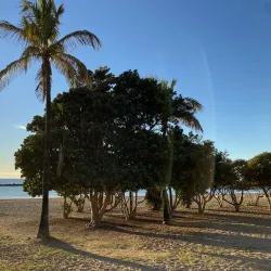 Playa de Las Teresitas - Santa Cruz de Tenerife