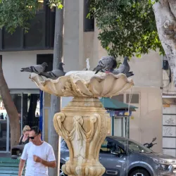 Plaza de España - Santa Cruz de Tenerife