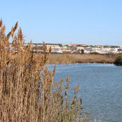 People enjoying the surroundings of Santa Pola