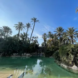 Parque El Palmeral - Santa Pola