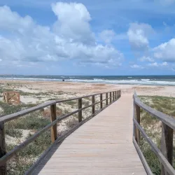 Parque Natural de las Salinas y Arenales de San Pedro del Pinatar - Santa Pola