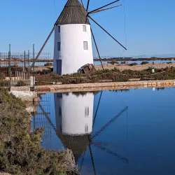 Parque Natural de las Salinas y Arenales de San Pedro del Pinatar - Santa Pola