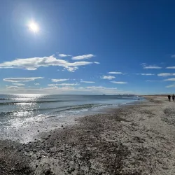 Parque Natural de las Salinas y Arenales de San Pedro del Pinatar - Santa Pola