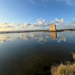 Salinas de Santa Pola (Salt Flats) - Santa Pola