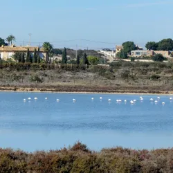 Salinas de Santa Pola (Salt Flats) - Santa Pola