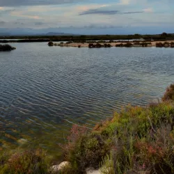 Salinas de Santa Pola (Salt Flats) - Santa Pola
